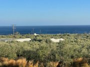 Koutsouras Kreta, Koutsouras: Tolles Baugrundstück in Meeresnähe zu verkaufen Grundstück kaufen